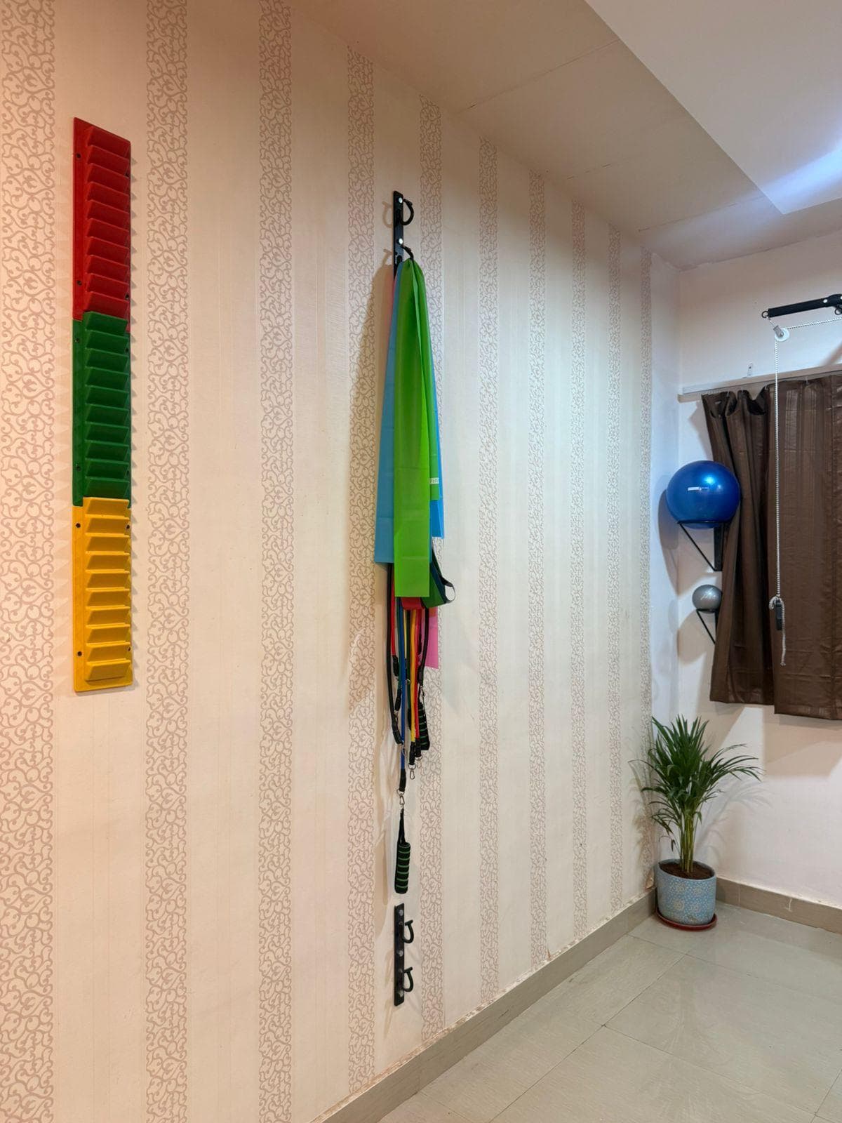 Wall-mounted rehabilitation equipment, resistance bands and exercise ball at VedaKinetics